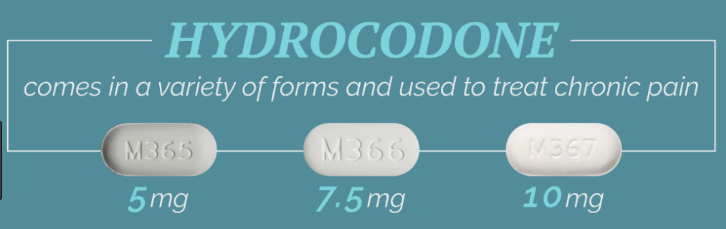 How long does hydrocodone stay in your system